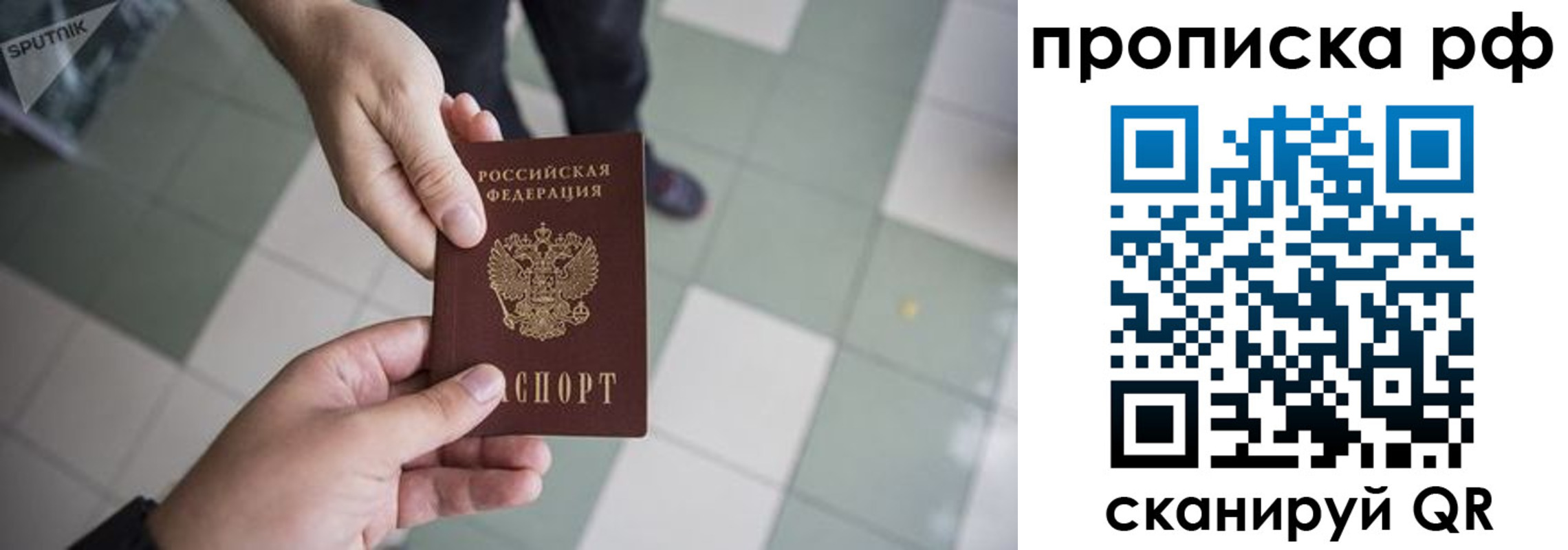 прописка гарантия в Алексине
